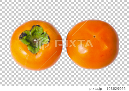 透明背景の柿の写真 鳥取県 輝太郎柿 透明背景の柿の写真 鳥取県 輝太郎柿 108629963