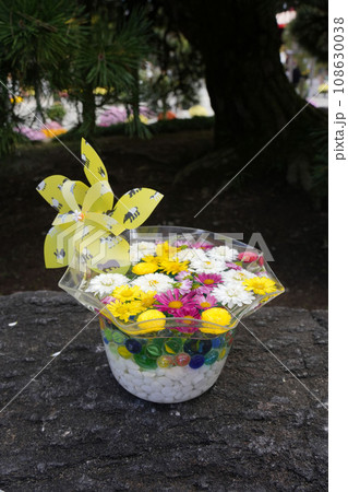 菊の花の水中花 菊の花の水中花 108630038