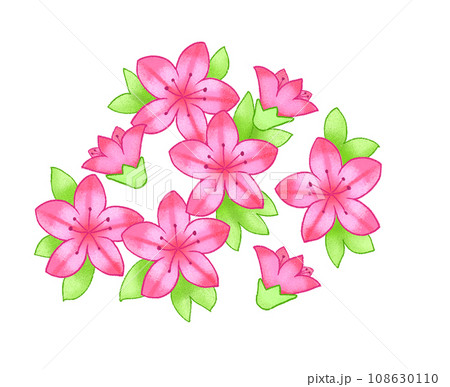 さつき さつき 108630110