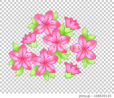 さつき さつき 108630110