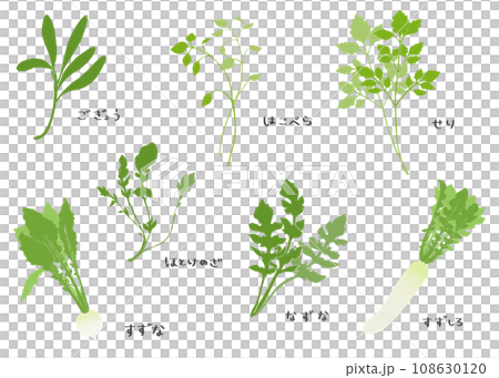 春天七種草本插圖集向量 108630120