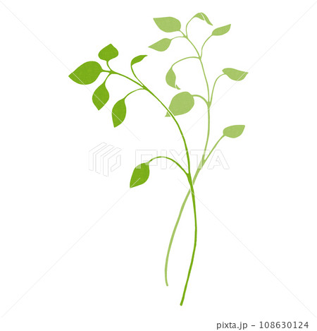 春の七草　ハコベラのイラスト　 108630124