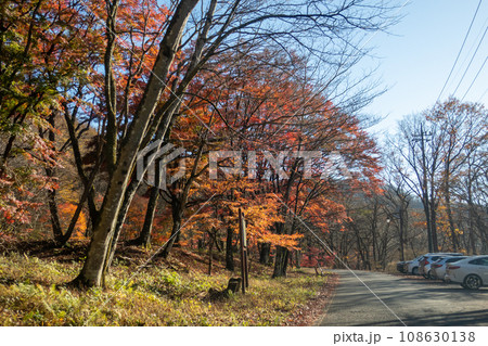 榛名湖外周道路の紅葉　群馬県 108630138