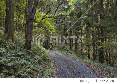 宝登山登山口　埼玉県長瀞町 108630170