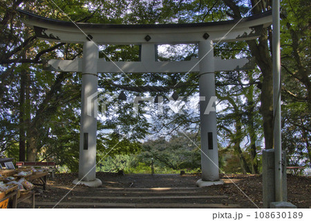 宝登山神社 奥宮の鳥居 埼玉県長瀞町 宝登山神社 奥宮の鳥居 埼玉県長瀞町 108630189