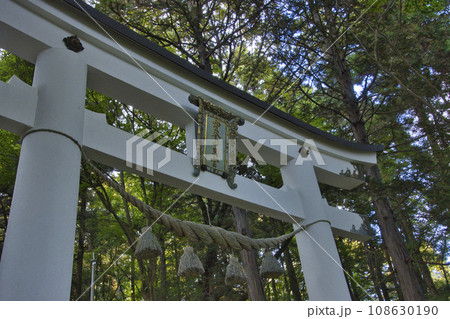 宝登山神社 奥宮の鳥居 埼玉県長瀞町 宝登山神社 奥宮の鳥居 埼玉県長瀞町 108630190