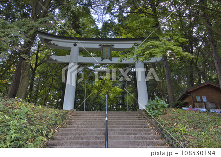 宝登山神社 奥宮の鳥居 埼玉県長瀞町 宝登山神社 奥宮の鳥居 埼玉県長瀞町 108630194