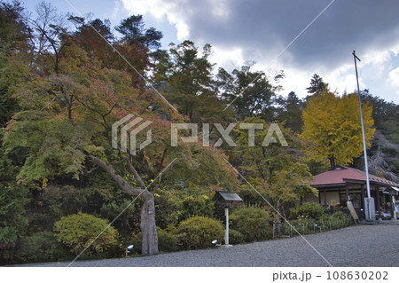 宝登山山麓の美しい紅葉　埼玉県長瀞町 108630202