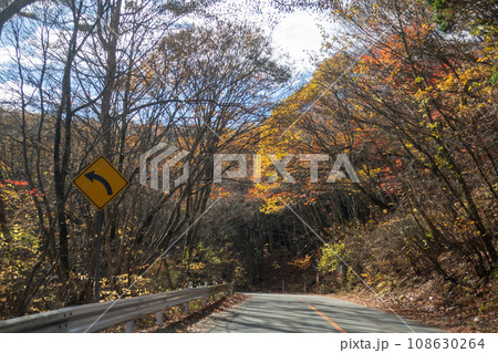 榛名山へ登る道路 群馬県 榛名山へ登る道路 群馬県 108630264
