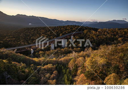 朝焼けの松見大橋 108630286