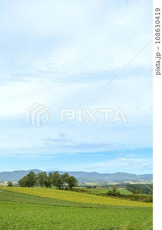 北海道 美瑛の「拓真館」周辺の風景 108630419