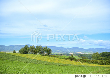 北海道 美瑛の「拓真館」周辺の風景 北海道 美瑛の「拓真館」周辺の風景 108630420