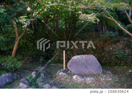 蘆花記念公園(徳富蘆花文学碑) 蘆花記念公園(徳富蘆花文学碑) 108630624