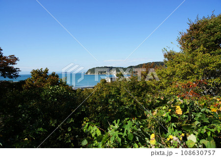 蘆花記念公園 徳川家達旧別邸(郷土資料館) 蘆花記念公園 徳川家達旧別邸(郷土資料館) 108630757