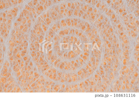 和紙によるアンモナイト化石イメージの背景素材 108631116