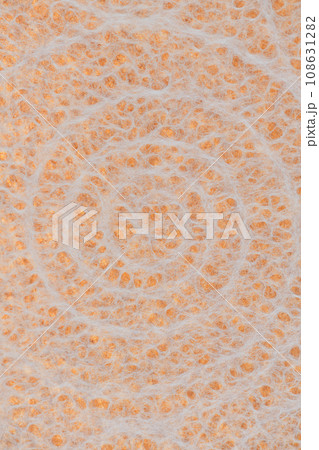 和紙によるアンモナイト化石イメージの背景素材 和紙によるアンモナイト化石イメージの背景素材 108631282