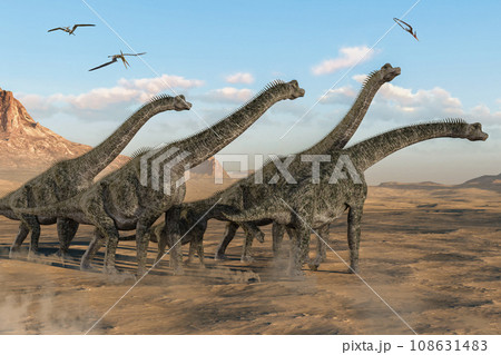 雄大な自然を歩くブラキオサウルスの群れ 108631483