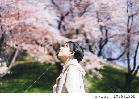 Side view portrait closing eye japanese woman with sakura flower travel in japan spring season 108631559