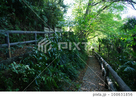 「徳富蘆花」文学散策園路 「徳富蘆花」文学散策園路 108631856