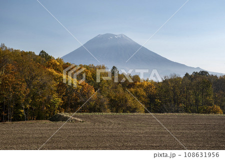 秋の羊蹄山 108631956