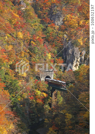 鳴子峡を走行する車両 108632197