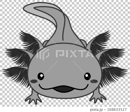 黒いウーパールーパーのイラスト Axolotl ブラック 108633527