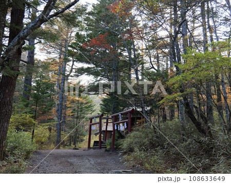 日本三大金運神社　新屋山神社　奥宮 108633649