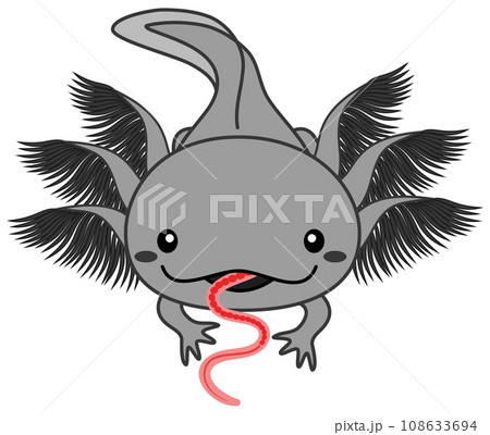 生きたイトミミズの餌を食べている黒いウーパールーパーのイラスト Axolotl ブラック 生きたイトミミズの餌を食べている黒いウーパールーパーのイラスト Axolotl ブラック 108633694
