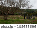 神社 108633696