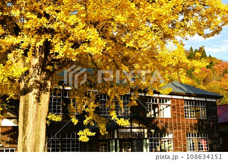 奥会津昭和村 旧喰丸小学校と大イチョウ 108634151