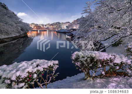 《東京都》大雪の東京・積雪の千鳥ヶ淵 108634683