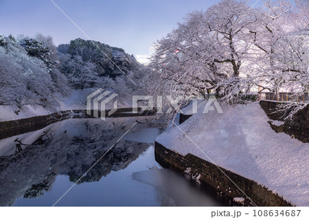 《東京都》大雪の東京・積雪の千鳥ヶ淵 《東京都》大雪の東京・積雪の千鳥ヶ淵 108634687