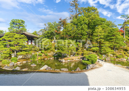 仁和寺御所庭園　宸殿から見る北庭と霊明殿　紅葉の季節 108634955