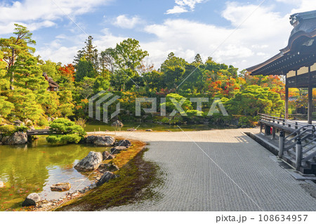 仁和寺御所庭園　宸殿から見る北庭　紅葉の季節 108634957