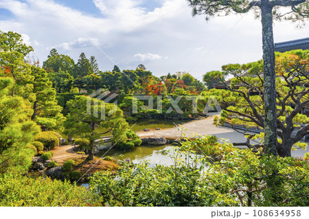 仁和寺御所庭園　霊明殿から見る北庭と宸殿　紅葉の季節 108634958