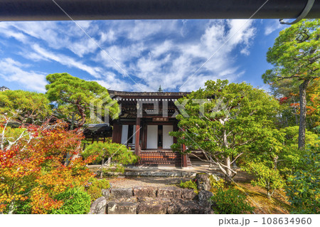 仁和寺御所庭園　紅葉に包まれた霊明殿 108634960