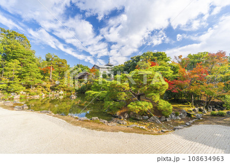 仁和寺御所庭園　宸殿から見る北庭と霊明殿　紅葉の季節 108634963