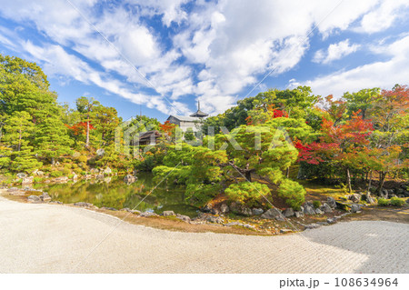 仁和寺御所庭園　宸殿から見る北庭と霊明殿　紅葉の季節 108634964