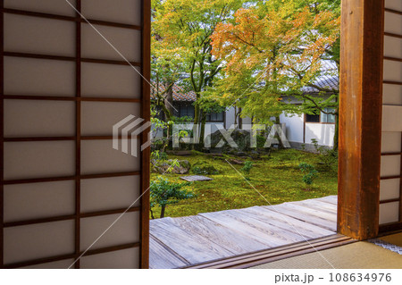 仁和寺御殿 黒書院 中庭 仁和寺御殿 黒書院 中庭 108634976