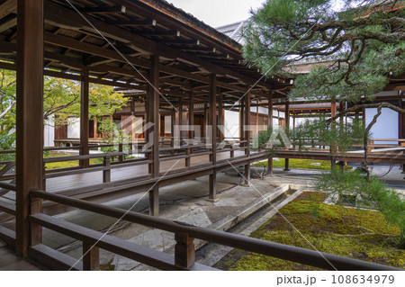 仁和寺御殿 御殿廻廊 仁和寺御殿 御殿廻廊 108634979