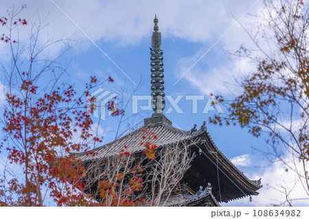仁和寺　五重塔前の紅葉（京都市右京区） 108634982