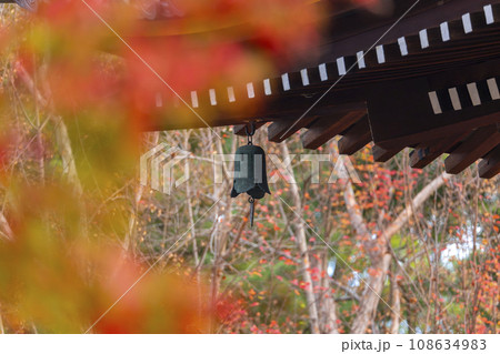 仁和寺　紅葉に包まれた観音堂の風鐸（京都市右京区） 108634983