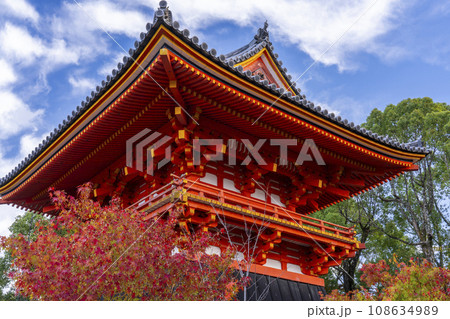 仁和寺　紅葉に包まれた鐘楼（京都市右京区） 108634989