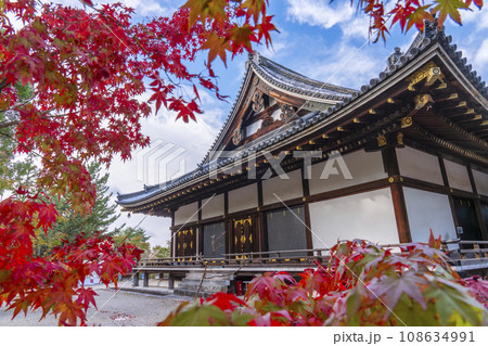 仁和寺　紅葉に包まれた金堂（京都市右京区） 108634991