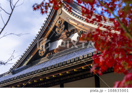 仁和寺　紅葉に包まれた金堂（京都市右京区） 108635001