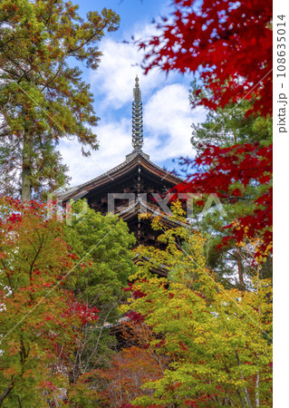 仁和寺　五重塔と紅葉（京都市右京区） 108635014