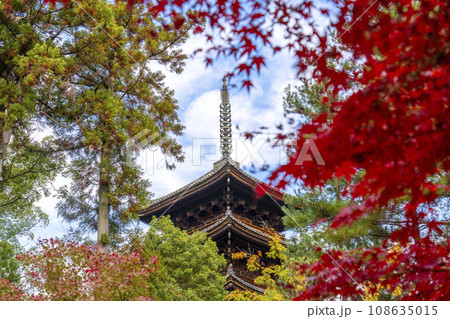 仁和寺　五重塔と紅葉（京都市右京区） 108635015