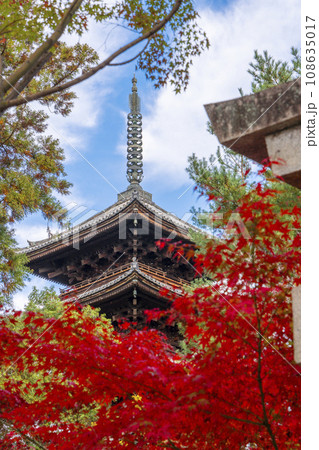 仁和寺 九所明神参道の石鳥居と五重塔 紅葉の季節 仁和寺 九所明神参道の石鳥居と五重塔 紅葉の季節 108635017