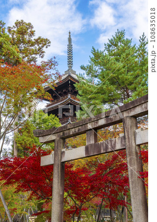 仁和寺　九所明神参道の石鳥居と五重塔　紅葉の季節 108635018