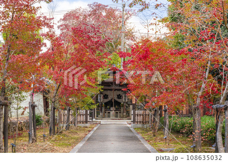 仁和寺　紅葉に包まれた参道の先にある水掛不動尊 108635032